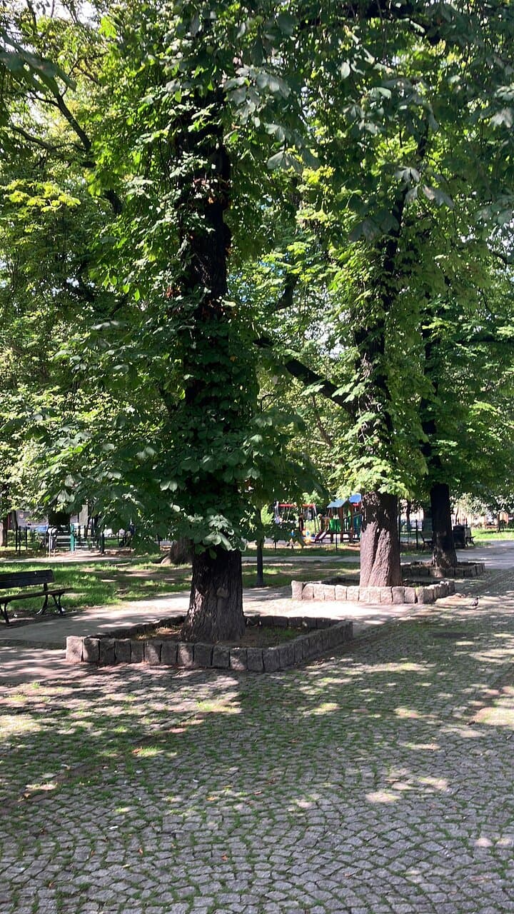 Plac Wolności