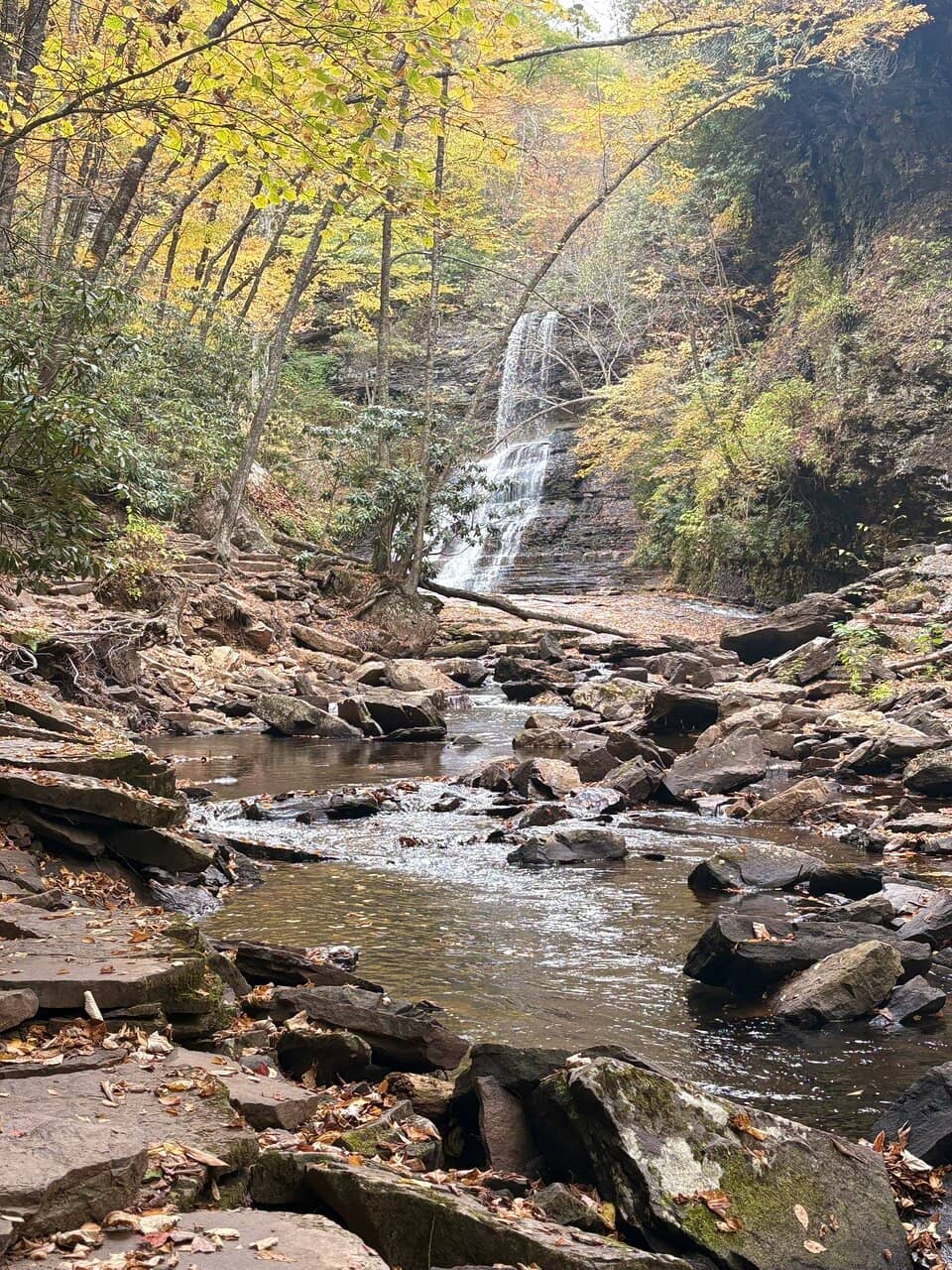 Lower Trail Scenery