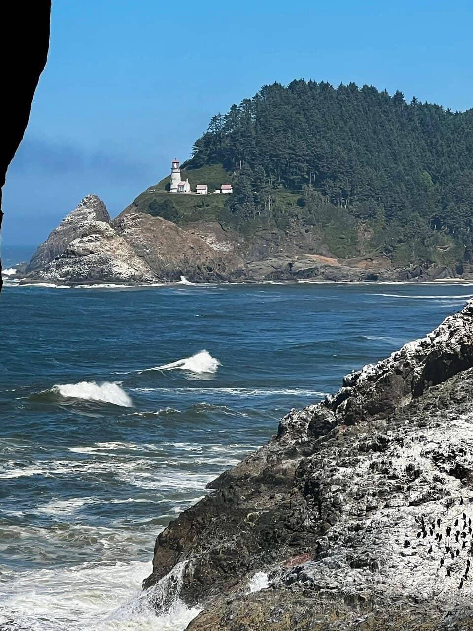 Vertical photo