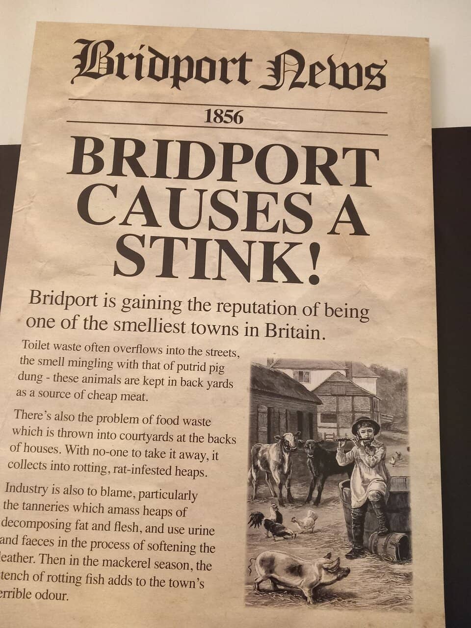 Bridport's War Effort
