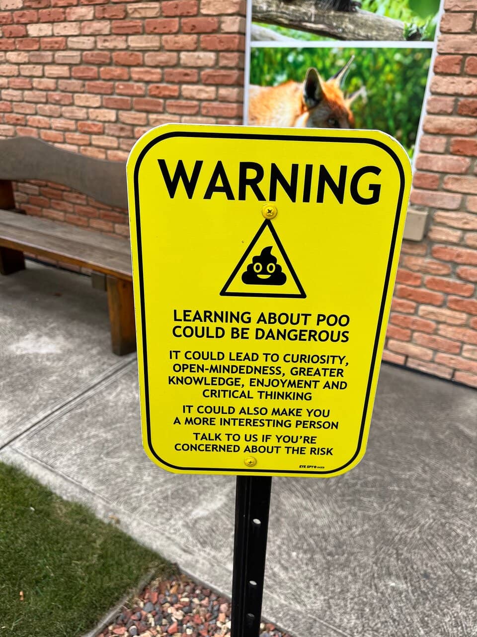 Interactive Displays