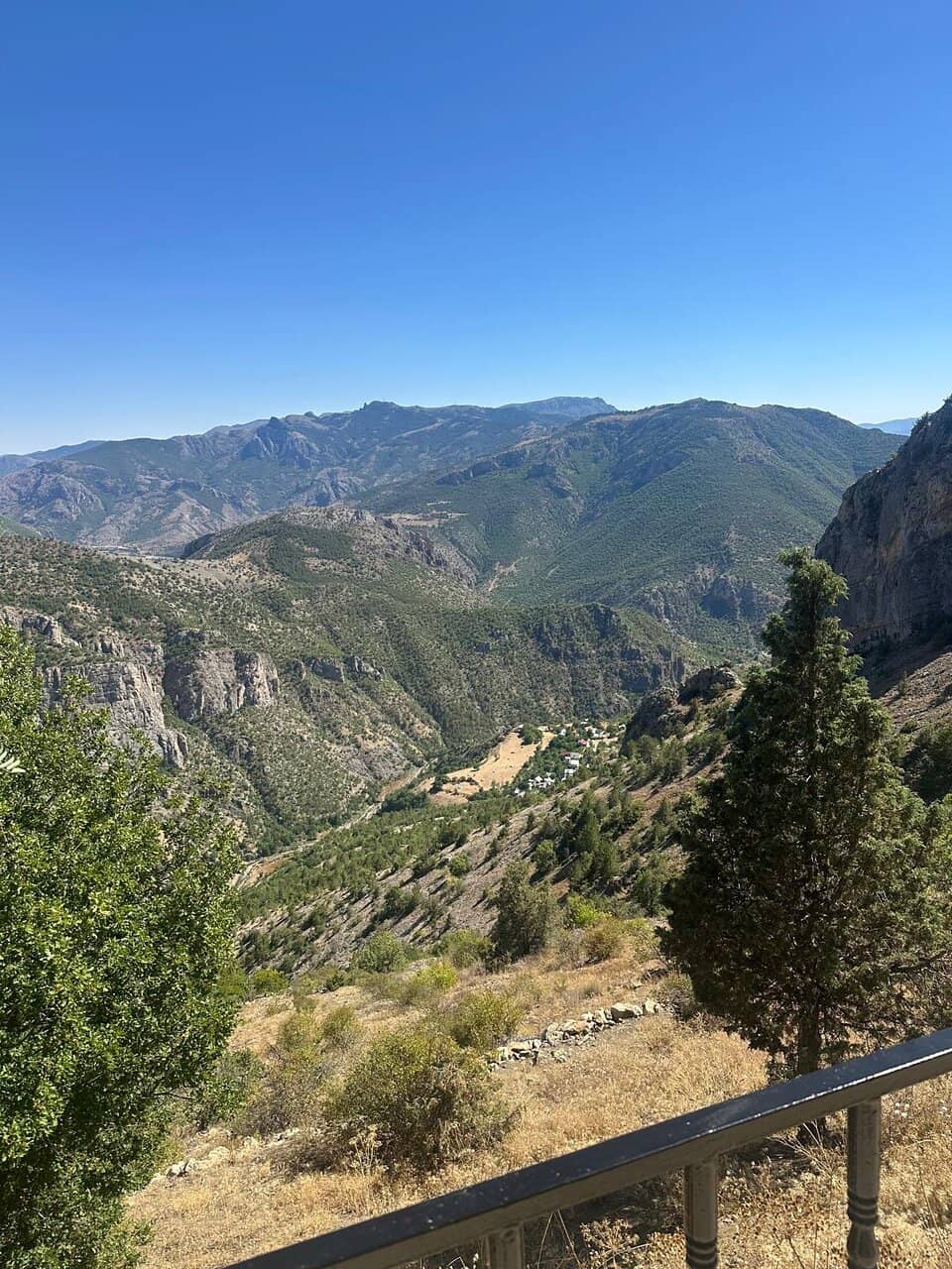 Cave Flowers and Pearls