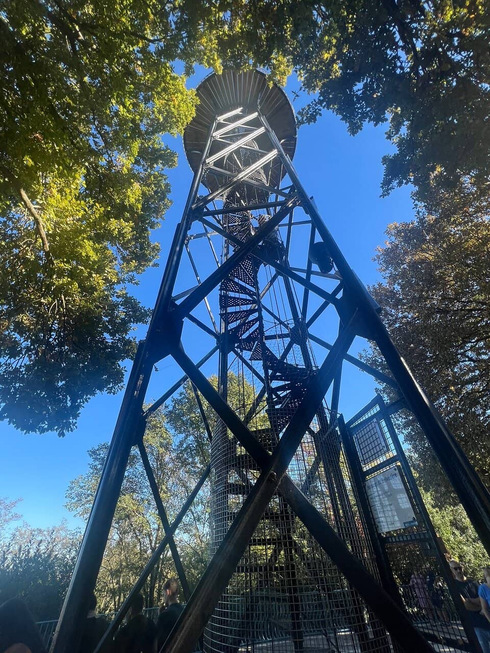 Vertical photo