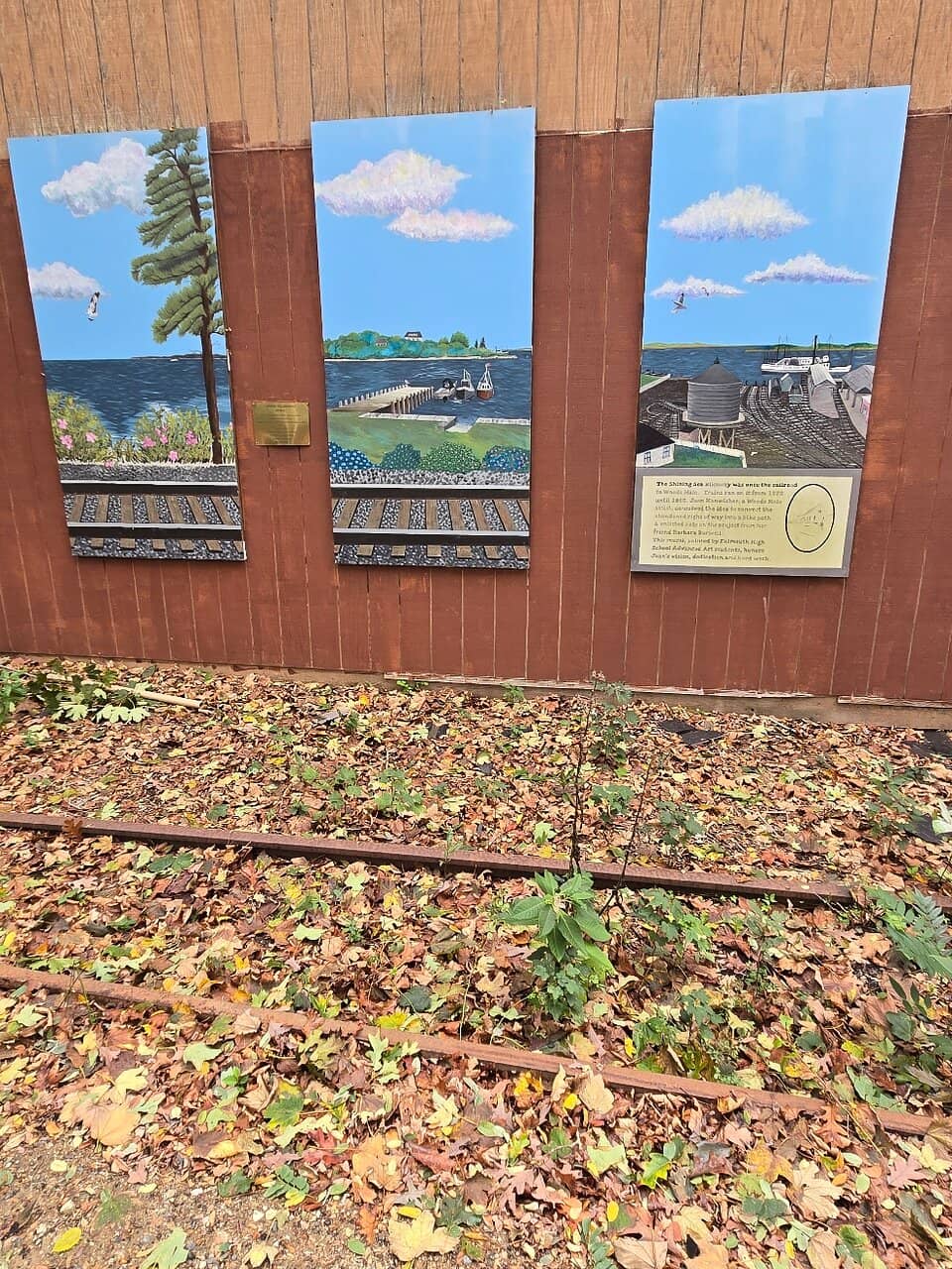 Cranberry Bog Wonders