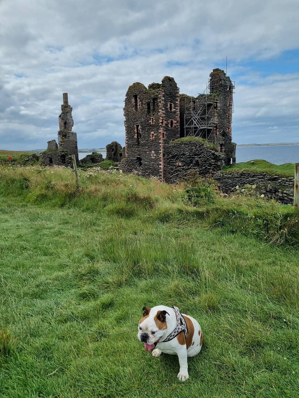 Panoramic Coastal Views