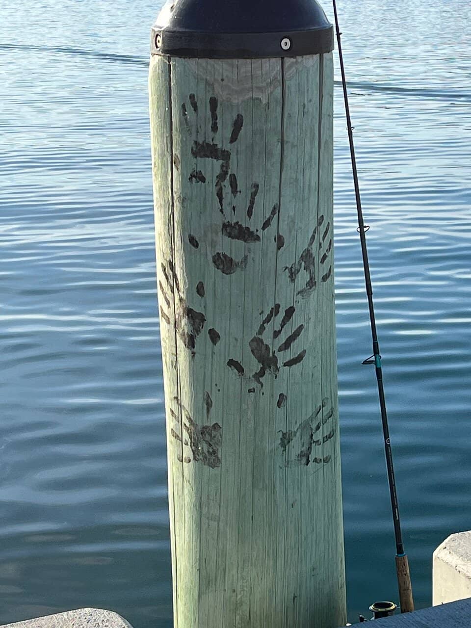 Scenic Boardwalk Stroll