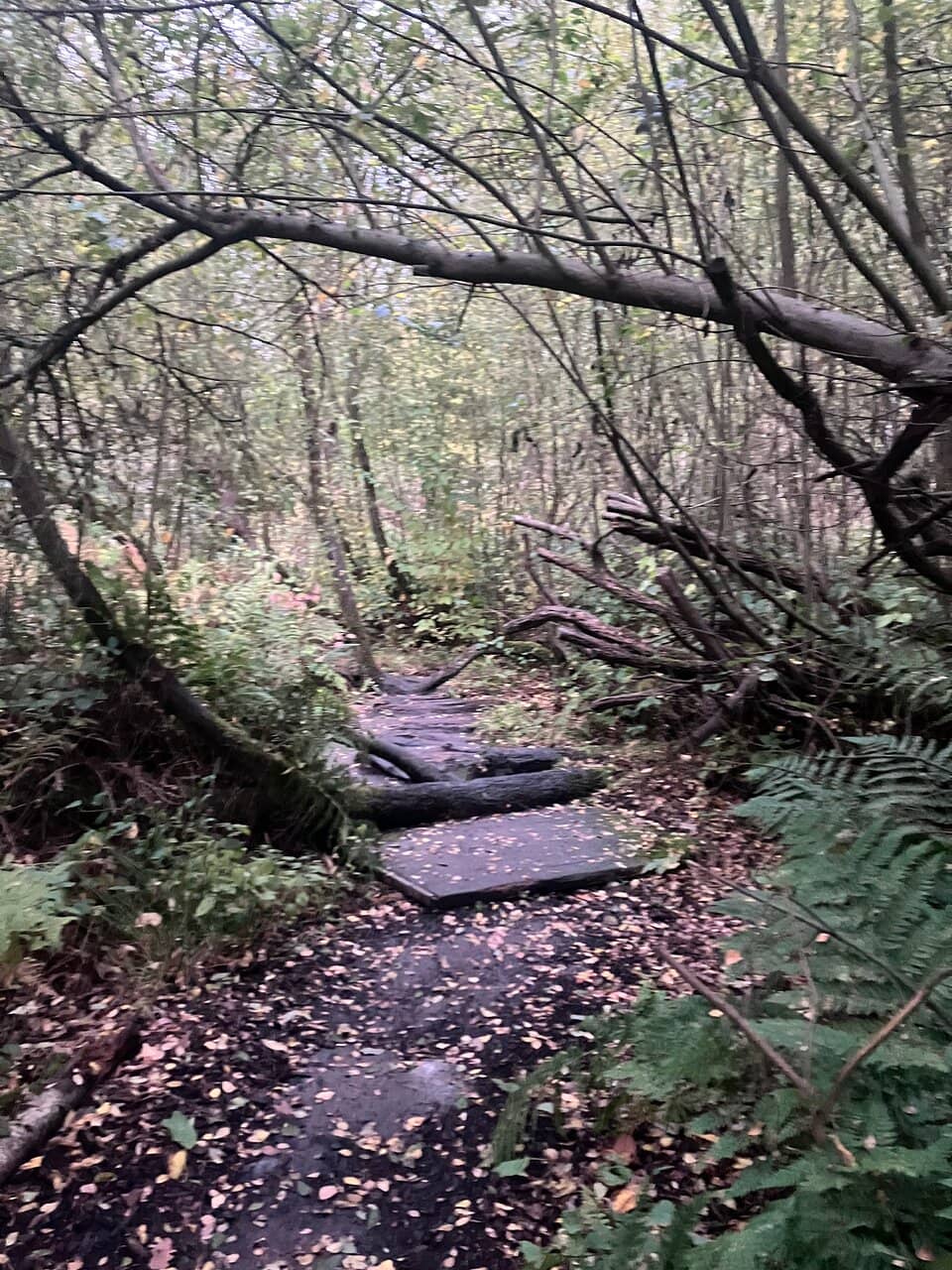 Nature Trails and Playgrounds