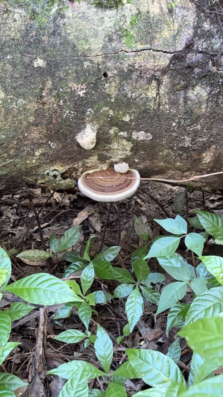 Visitor Center & Gift Shop