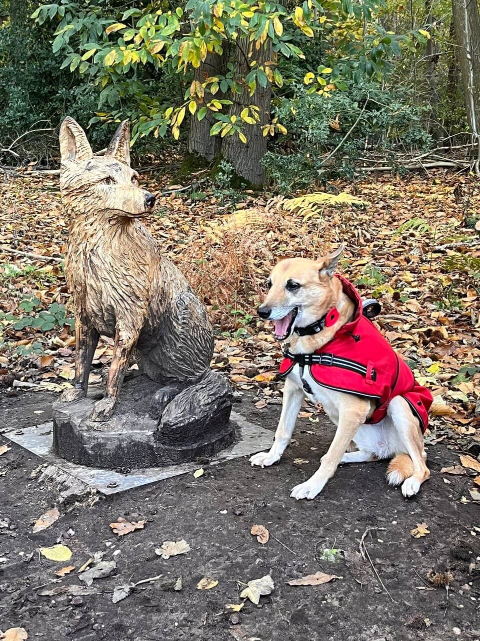 Children's Playground