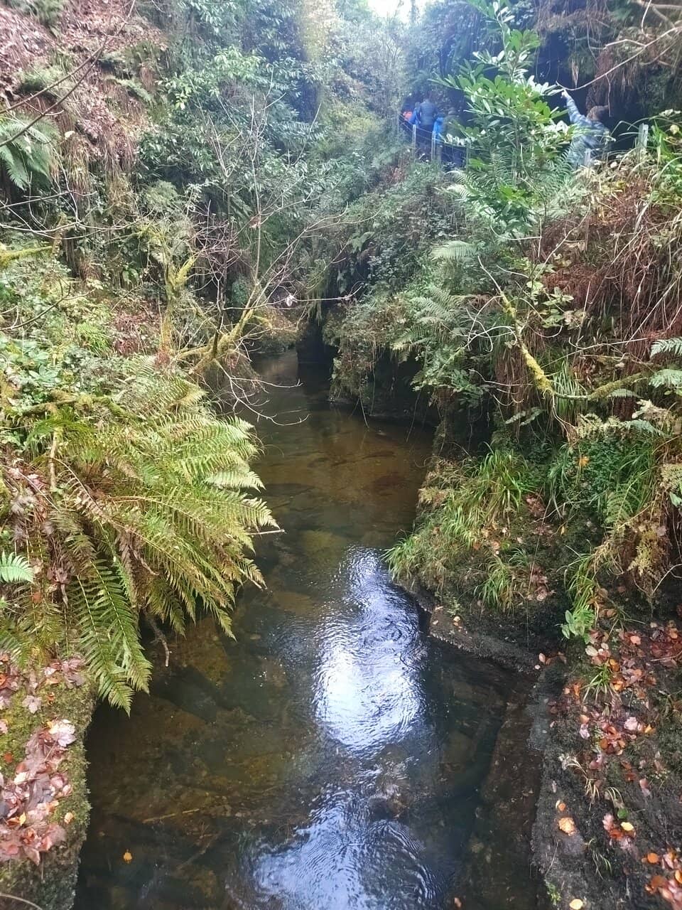 White Lady Waterfall