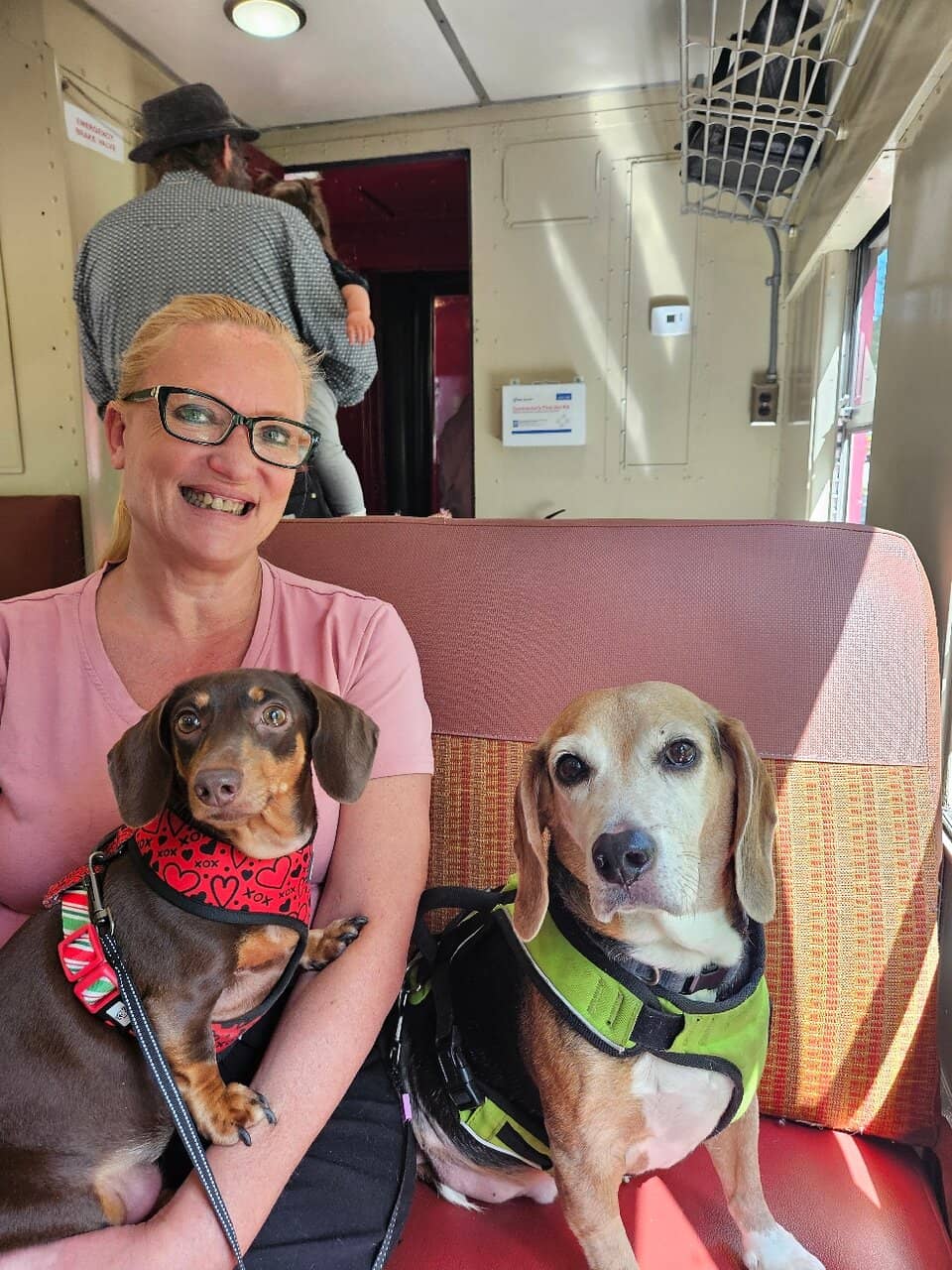 Holiday Themed Trains