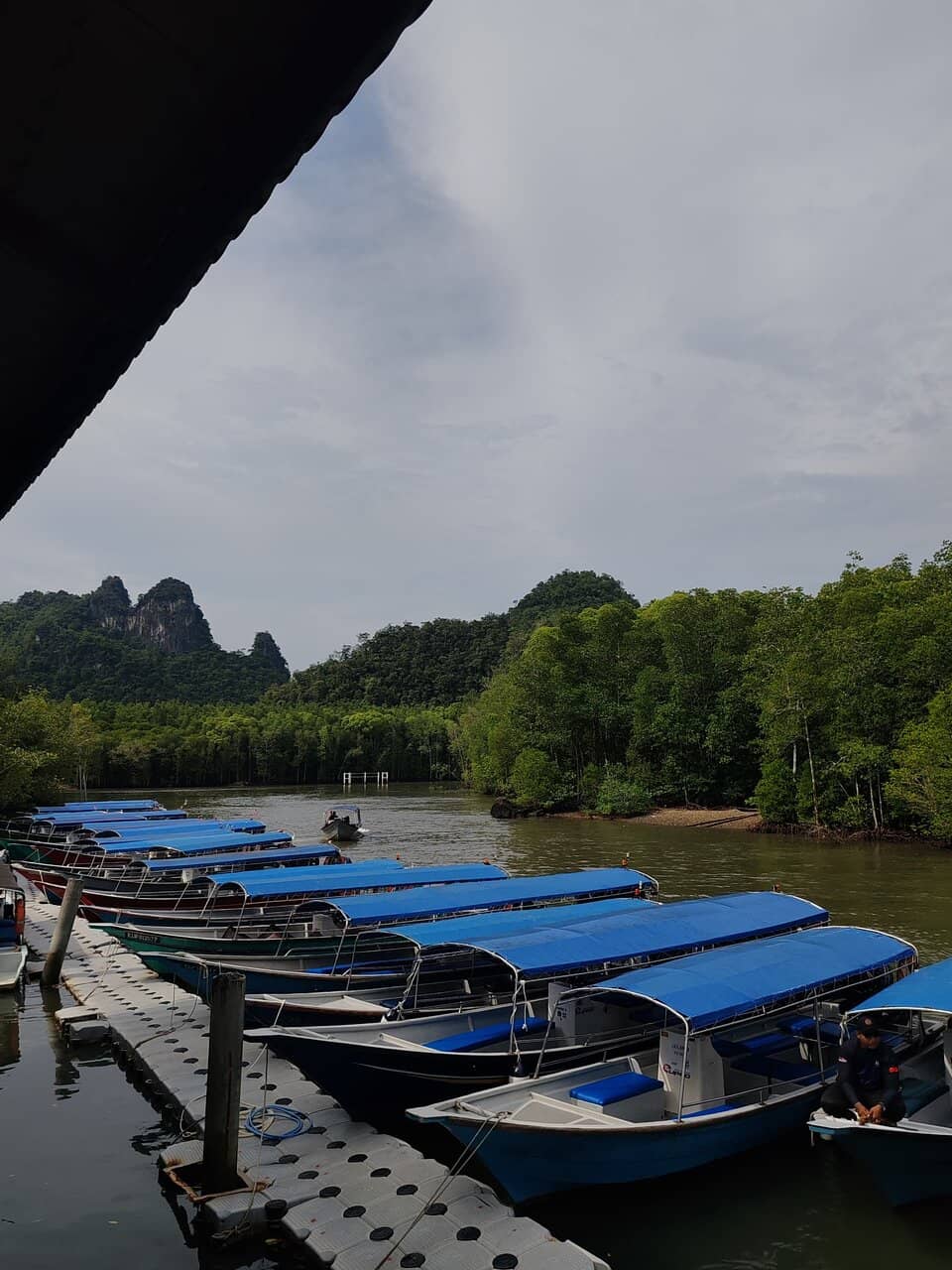 Eagle Feeding & Spotting