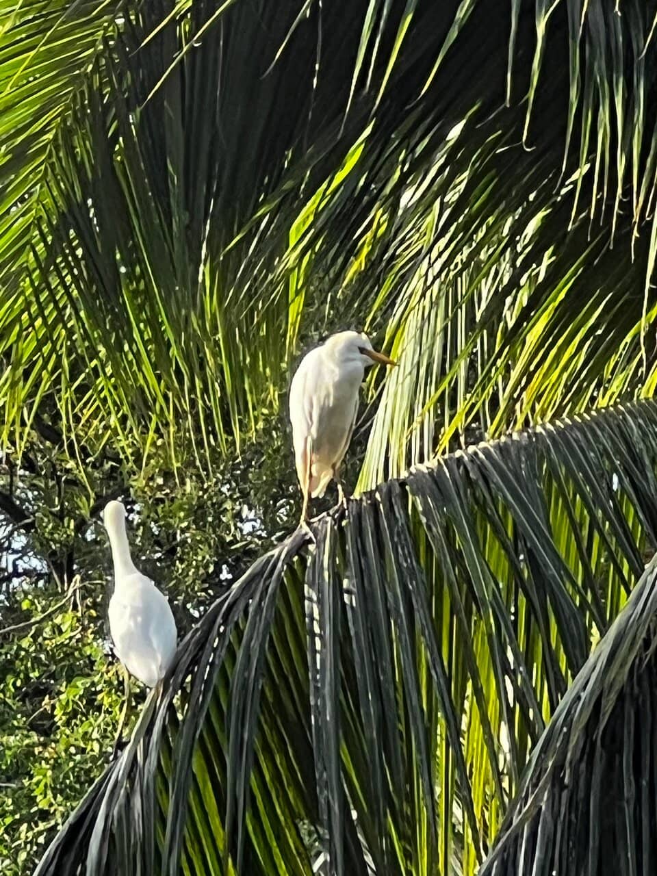 Ocean View Walking Trails