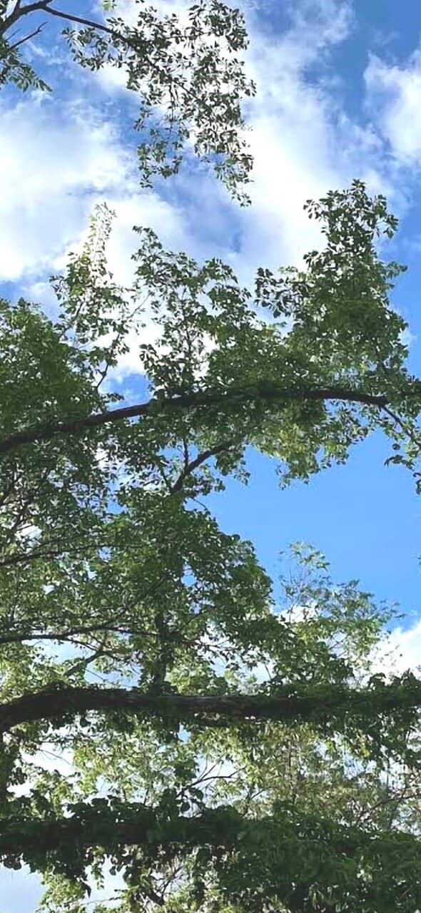 Updated Playground Fun