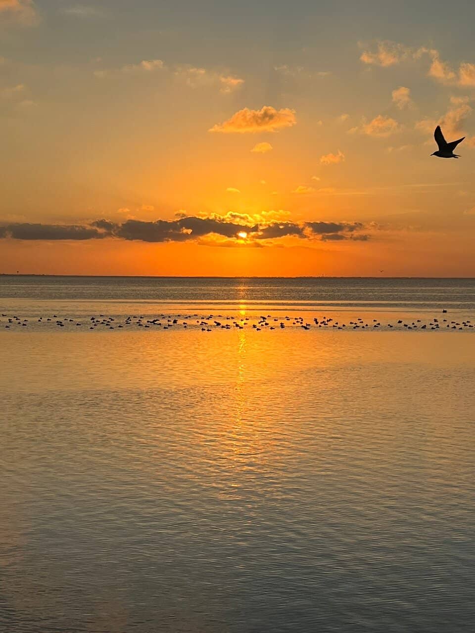 Stunning Sunset Views