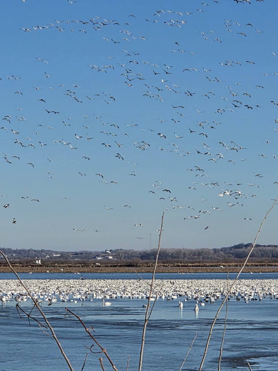 Bluff Top Views & CCC History