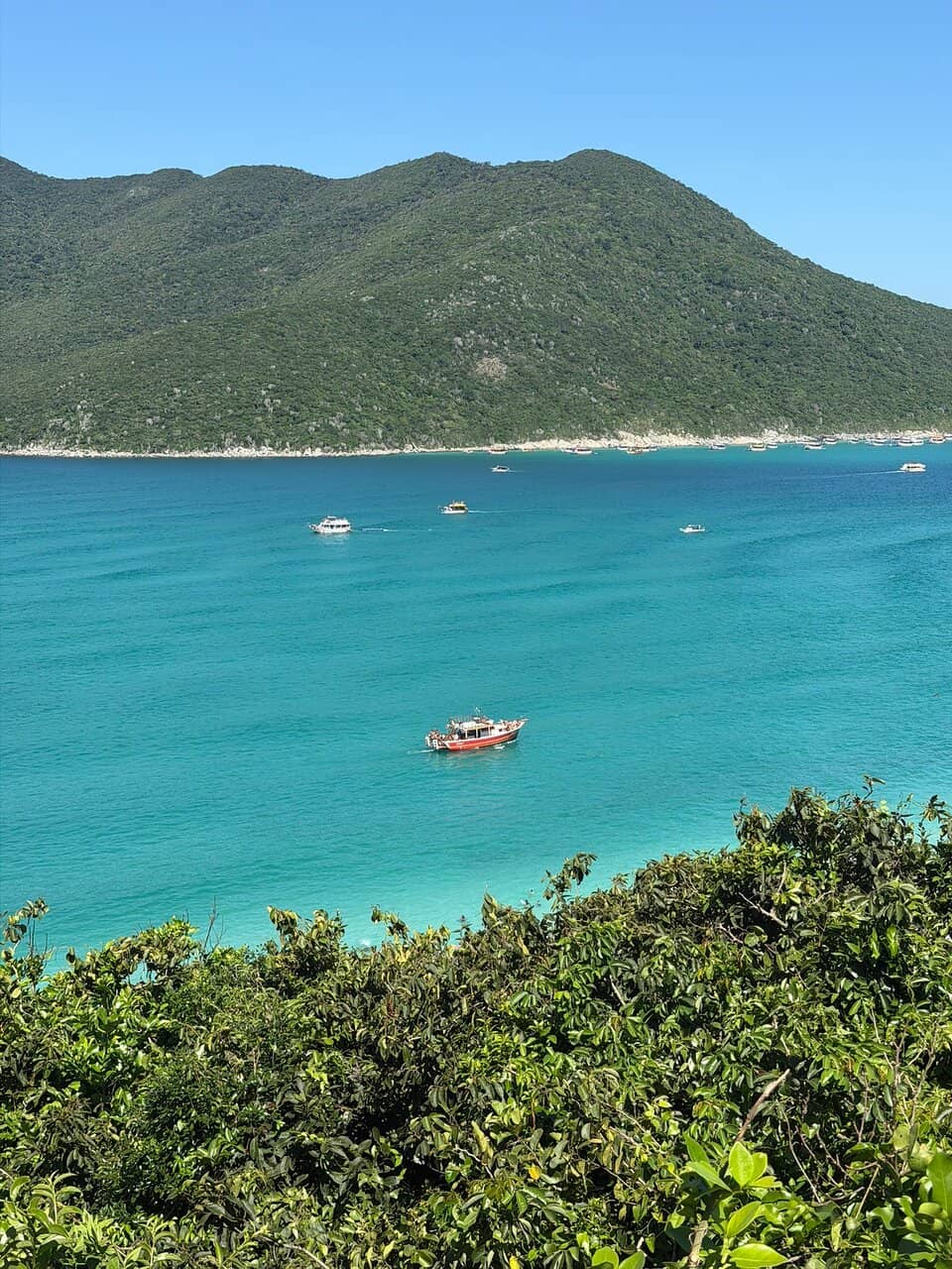 The Iconic Staircase