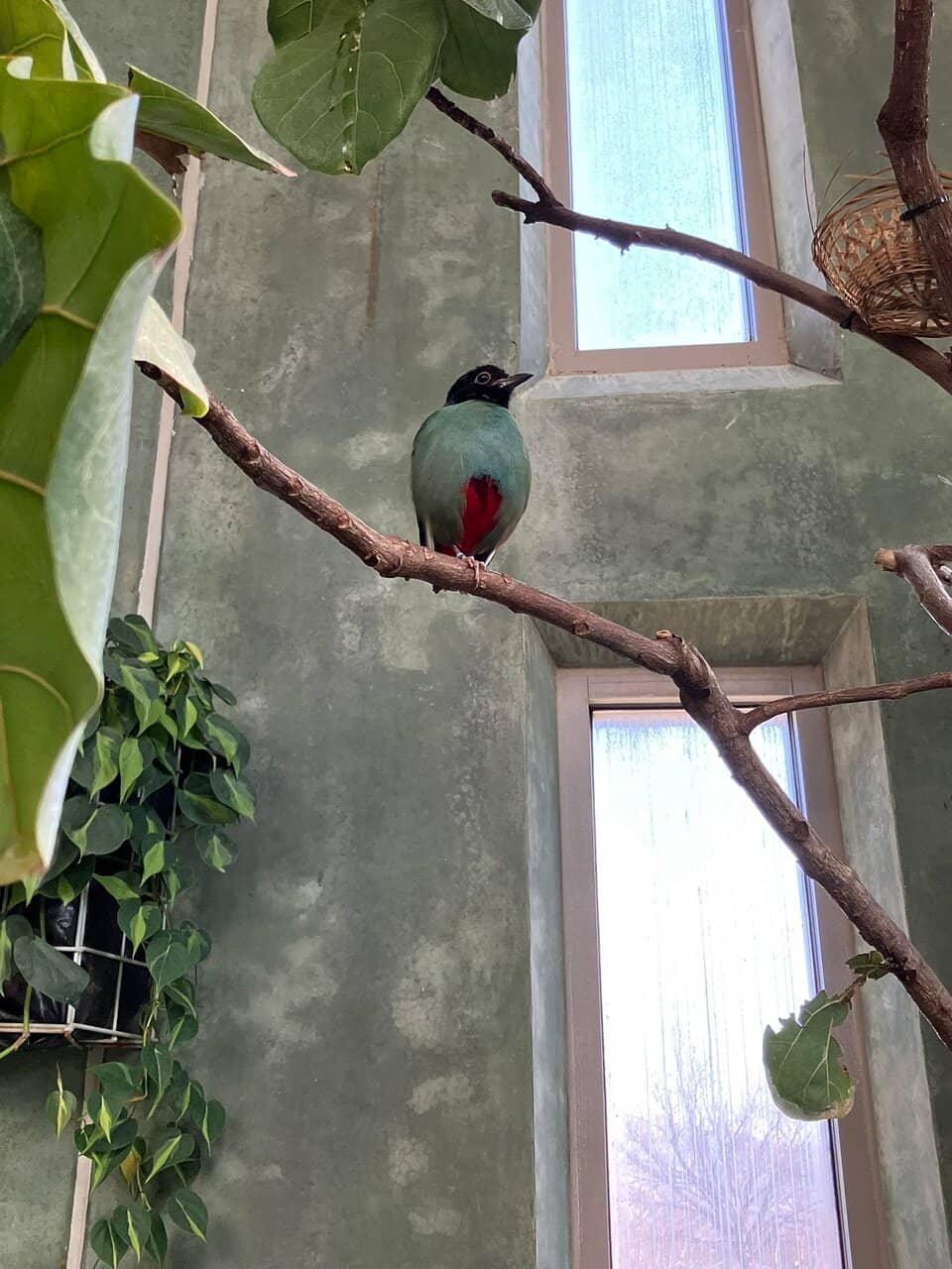 Outdoor Amphitheater