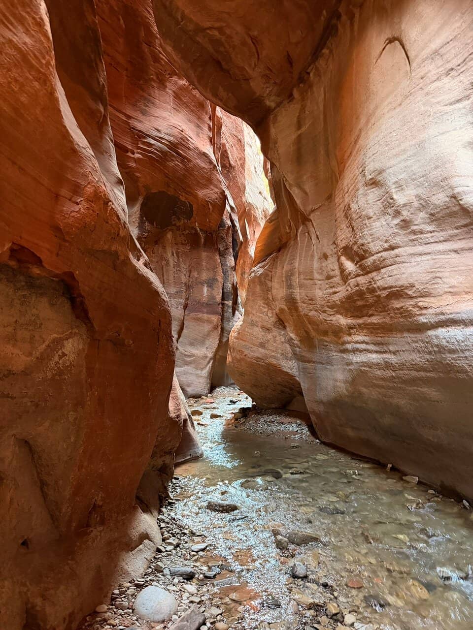 Cascading Waterfalls