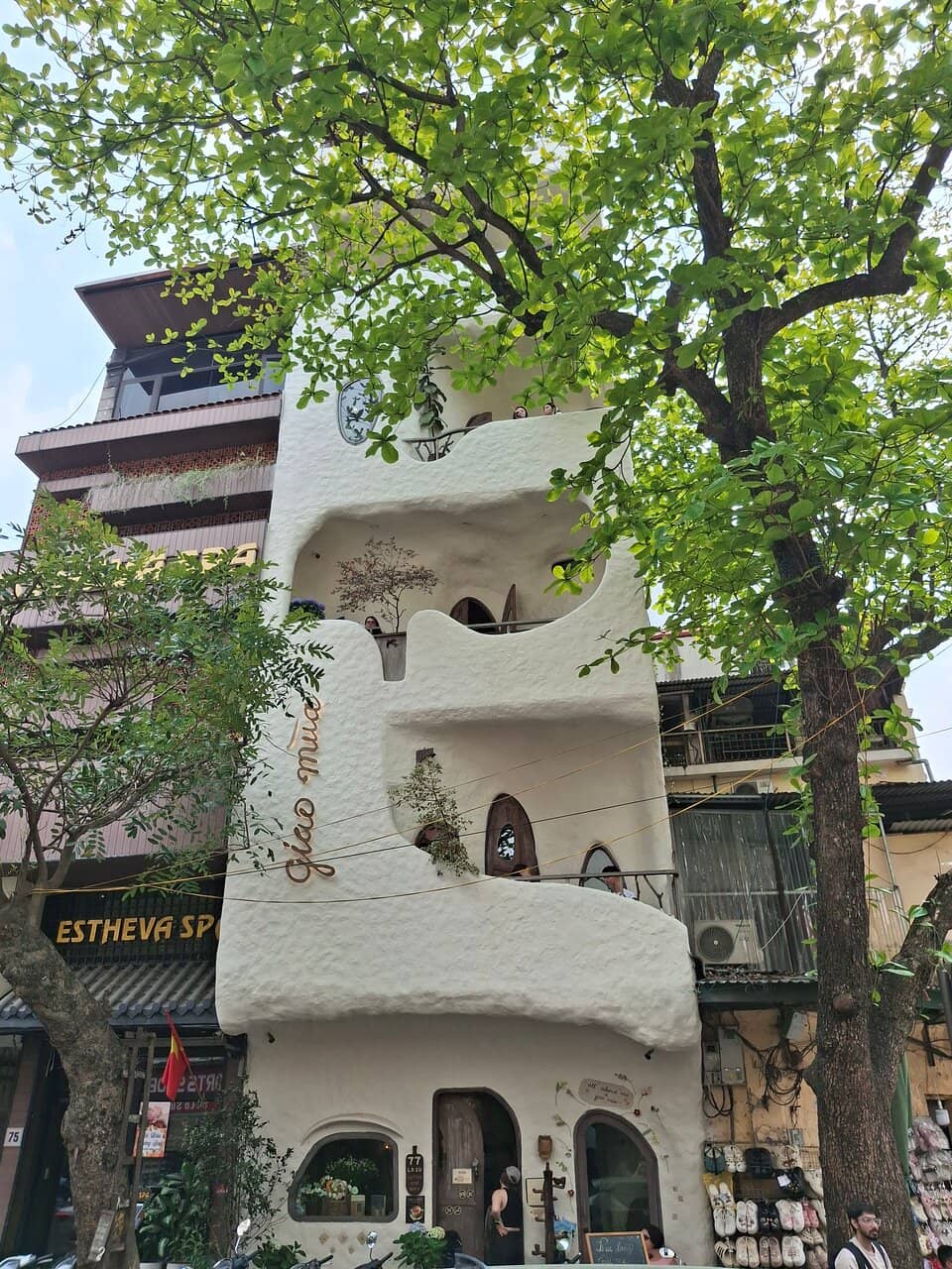 Vertical photo