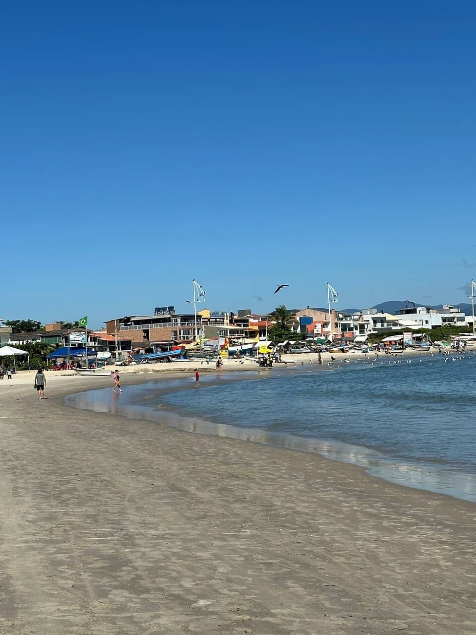 Ponta do Papagaio