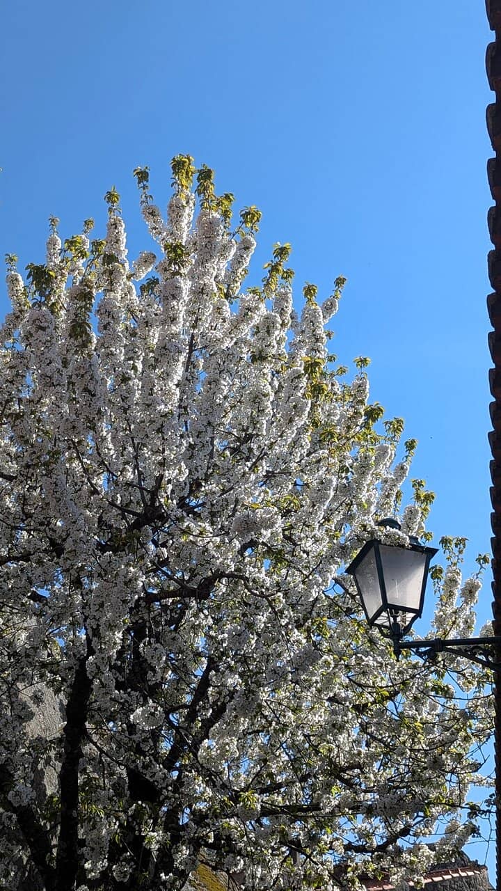 Granite Boulder Houses
