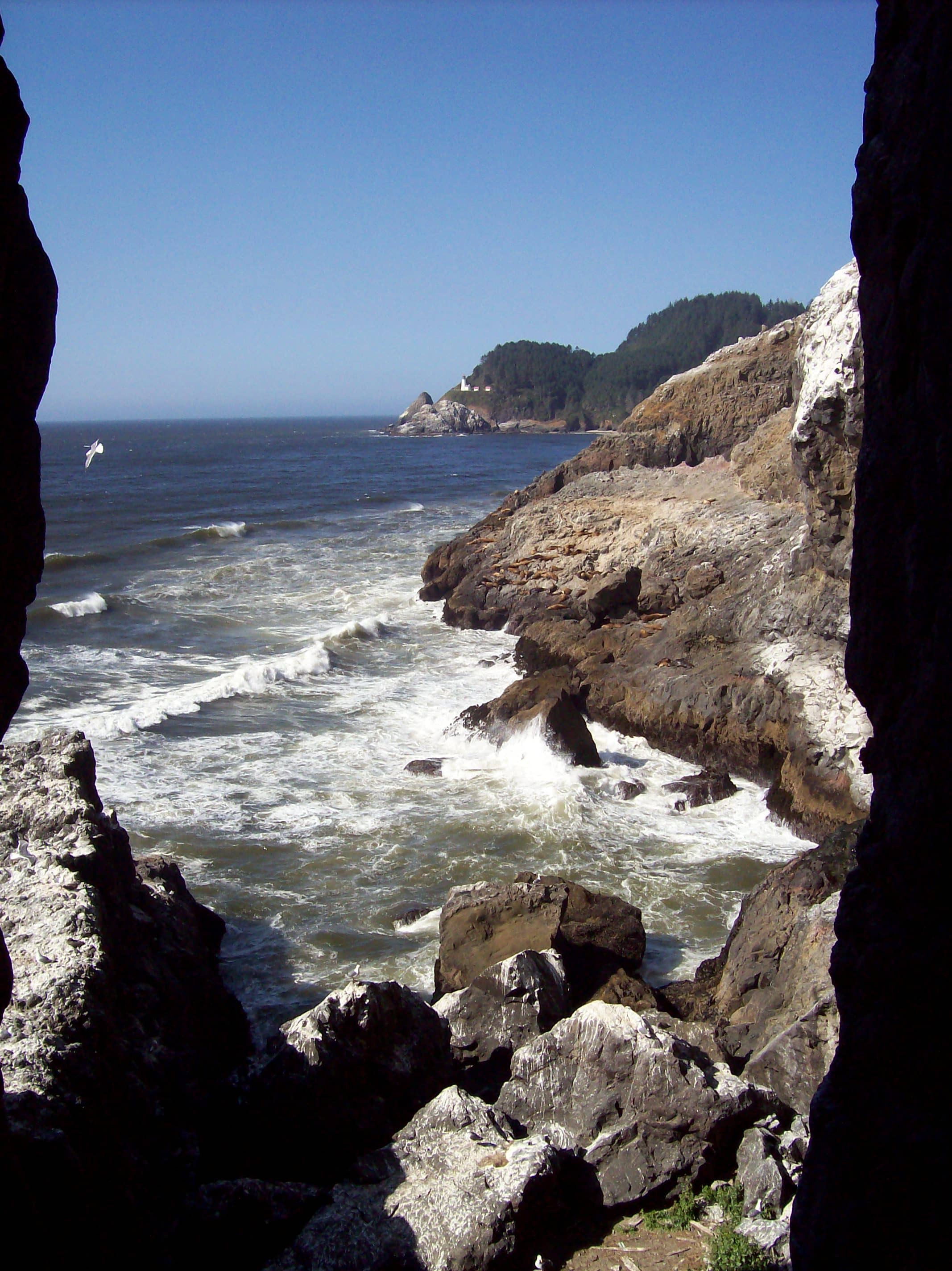 The Sea Lion Rock Formation