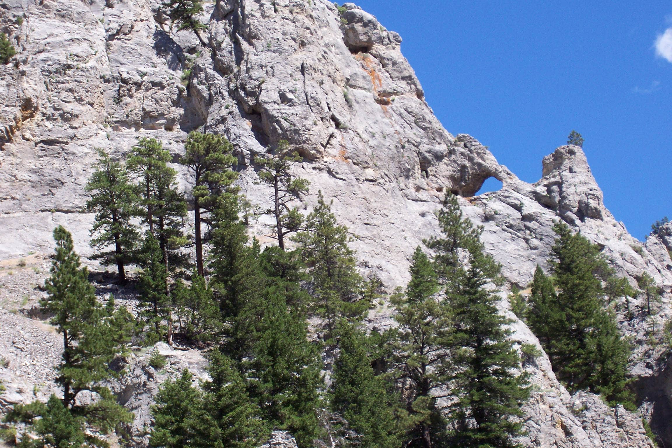 Ancient Indigenous Pictographs