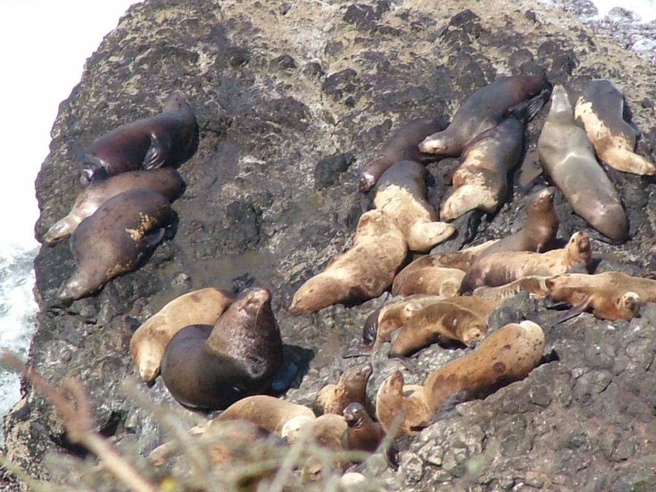 Heceta Head Lighthouse Bed & Breakfast