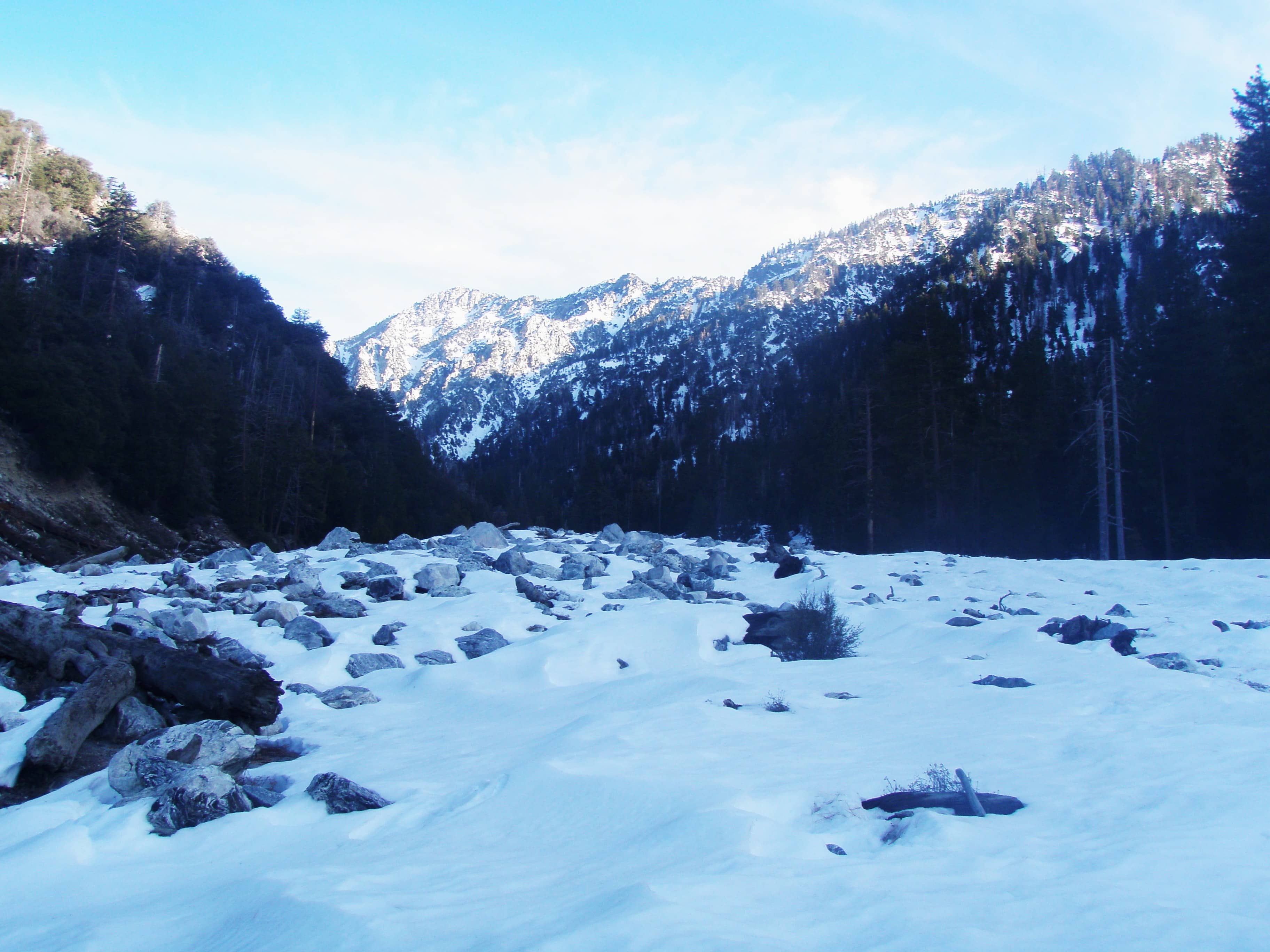 Mount Gorgonio Summit