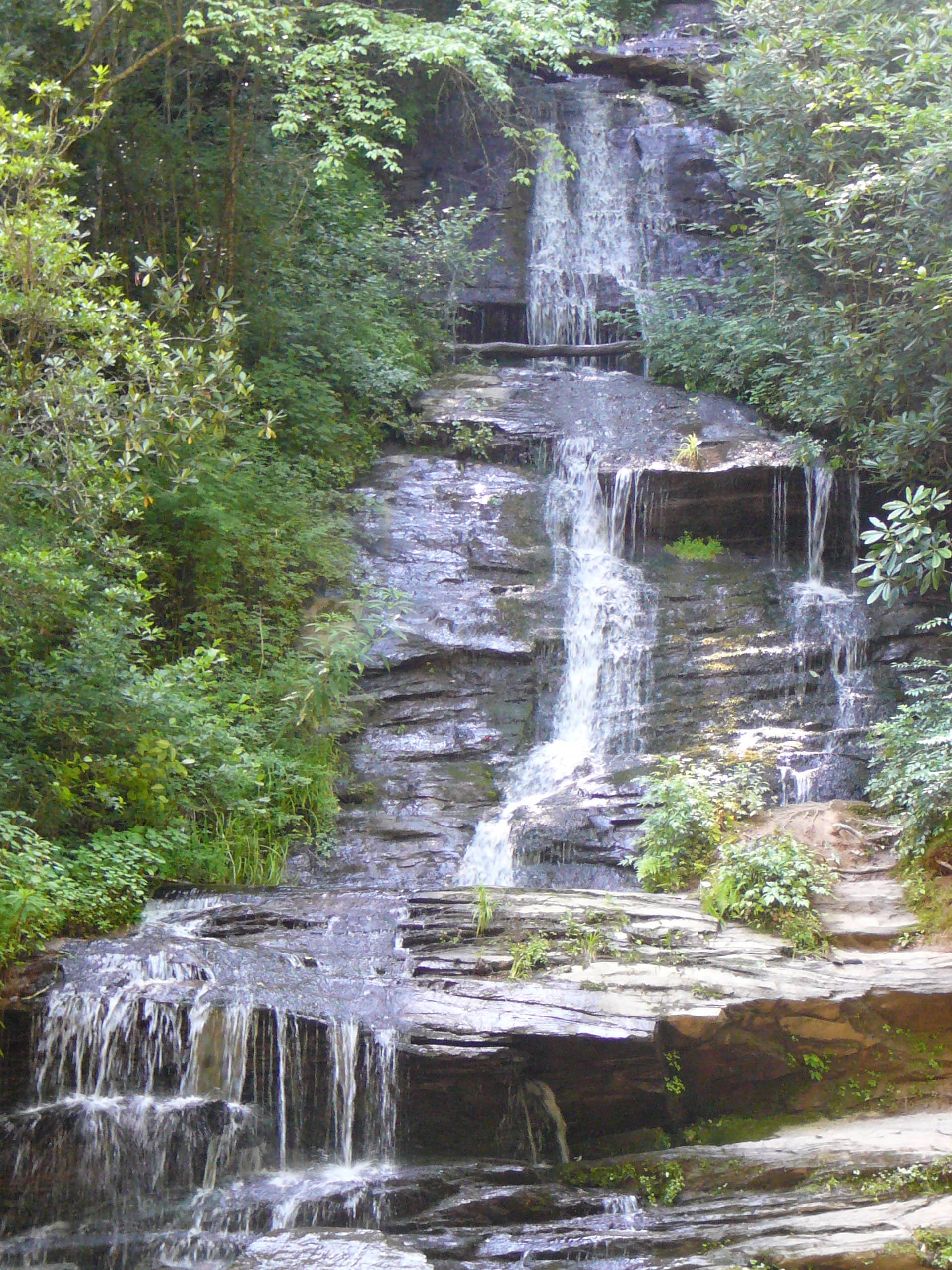 Vertical photo