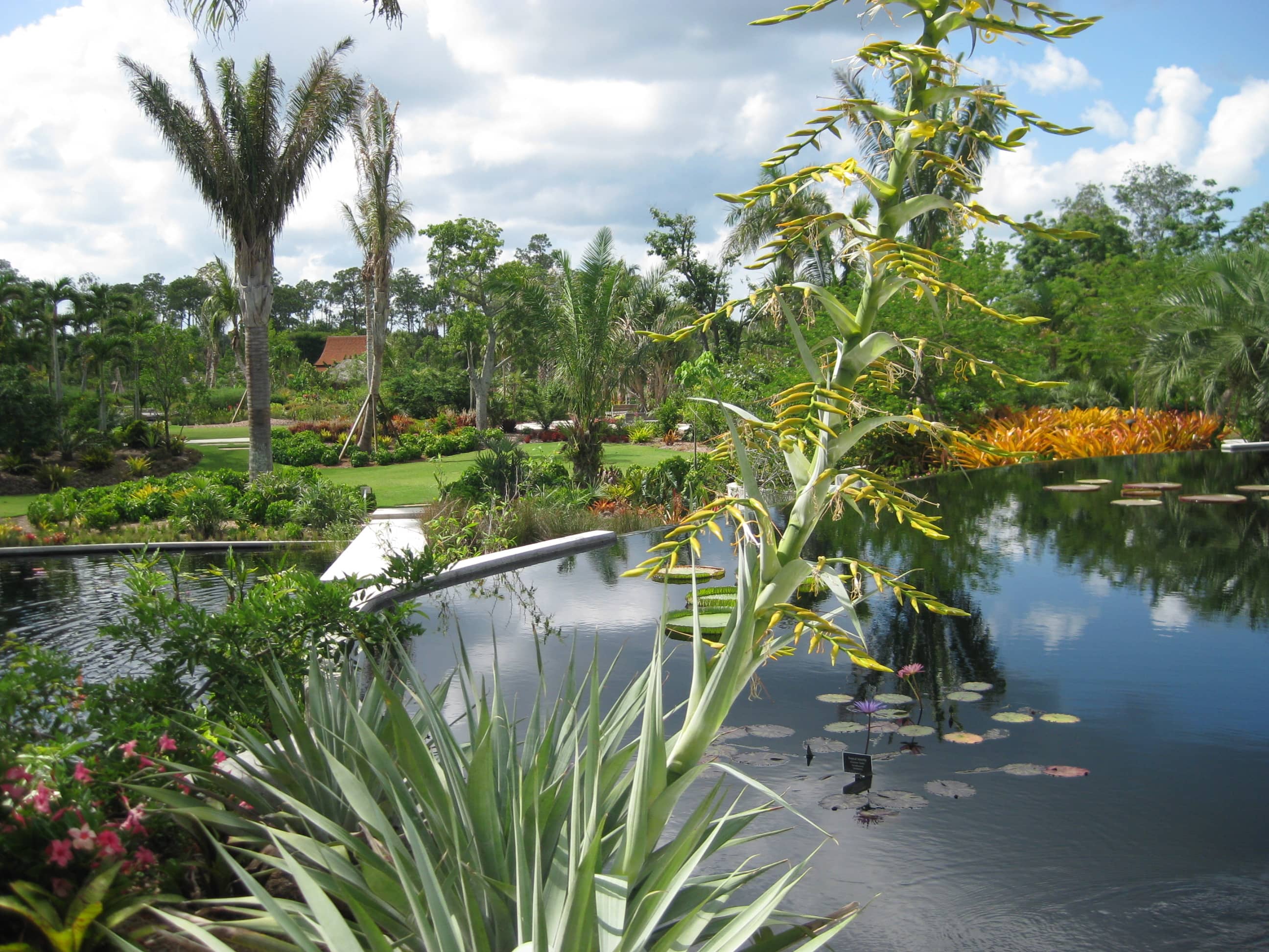 Themed Tropical Gardens