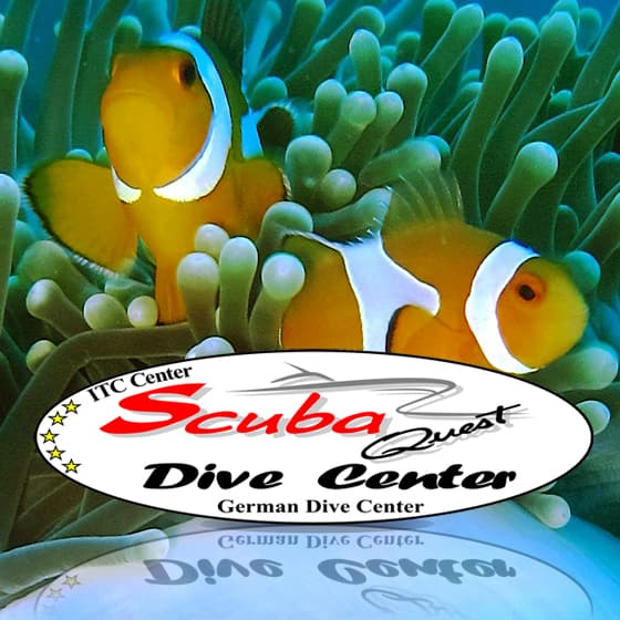 Logo1