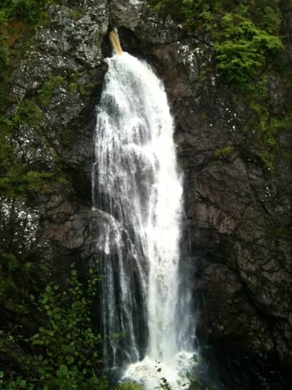 Vertical photo