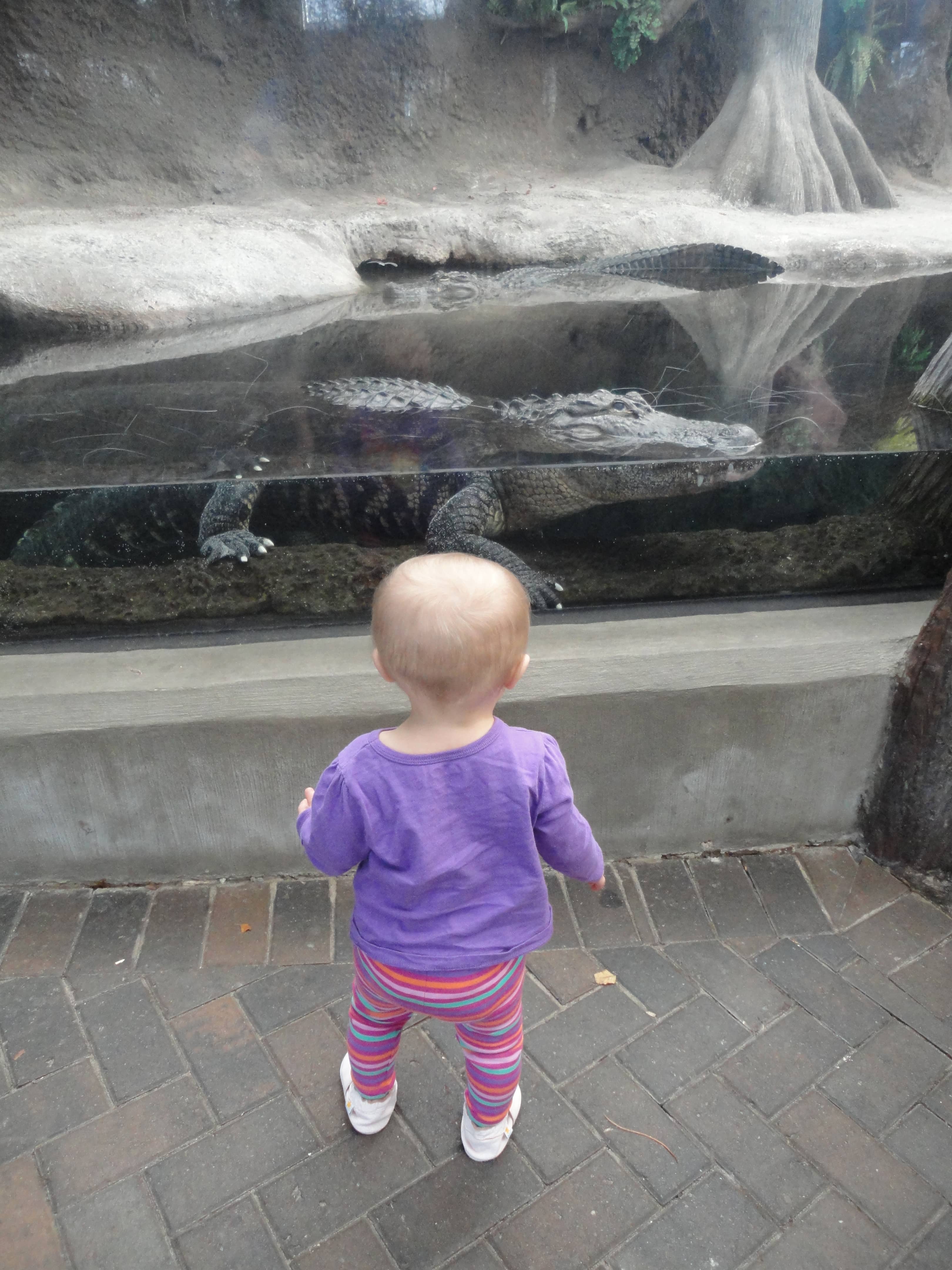 Juliette the Jellyfish Sculpture