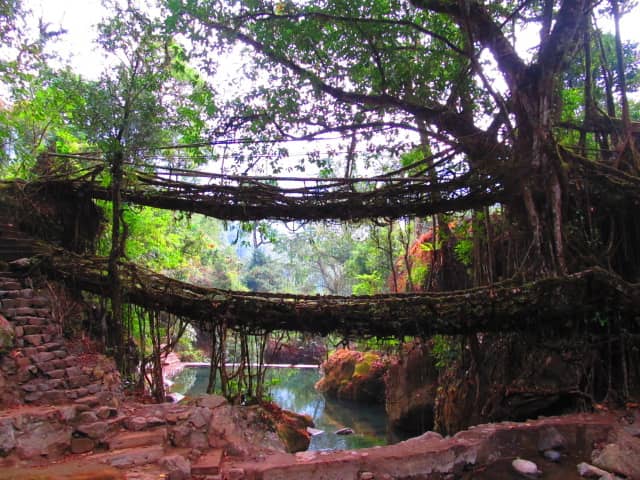 Vertical photo
