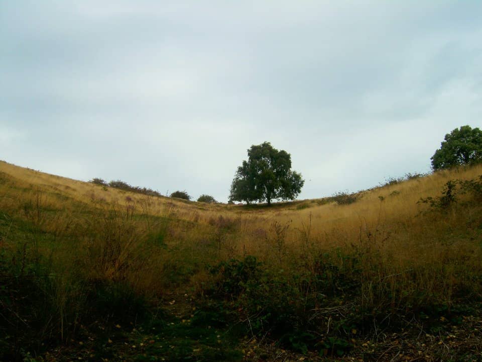 Vertical photo