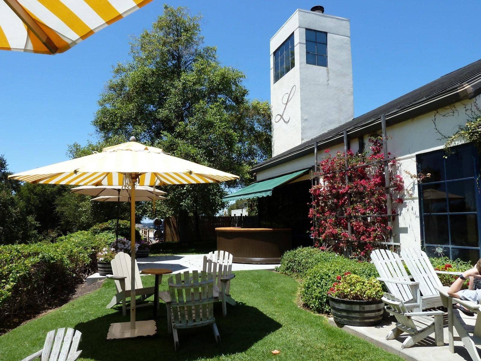 Exceptional Pinot Noir