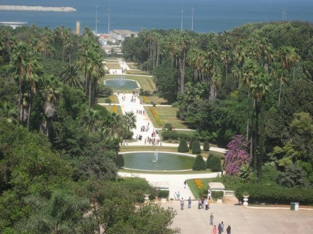Panoramic Terrace View