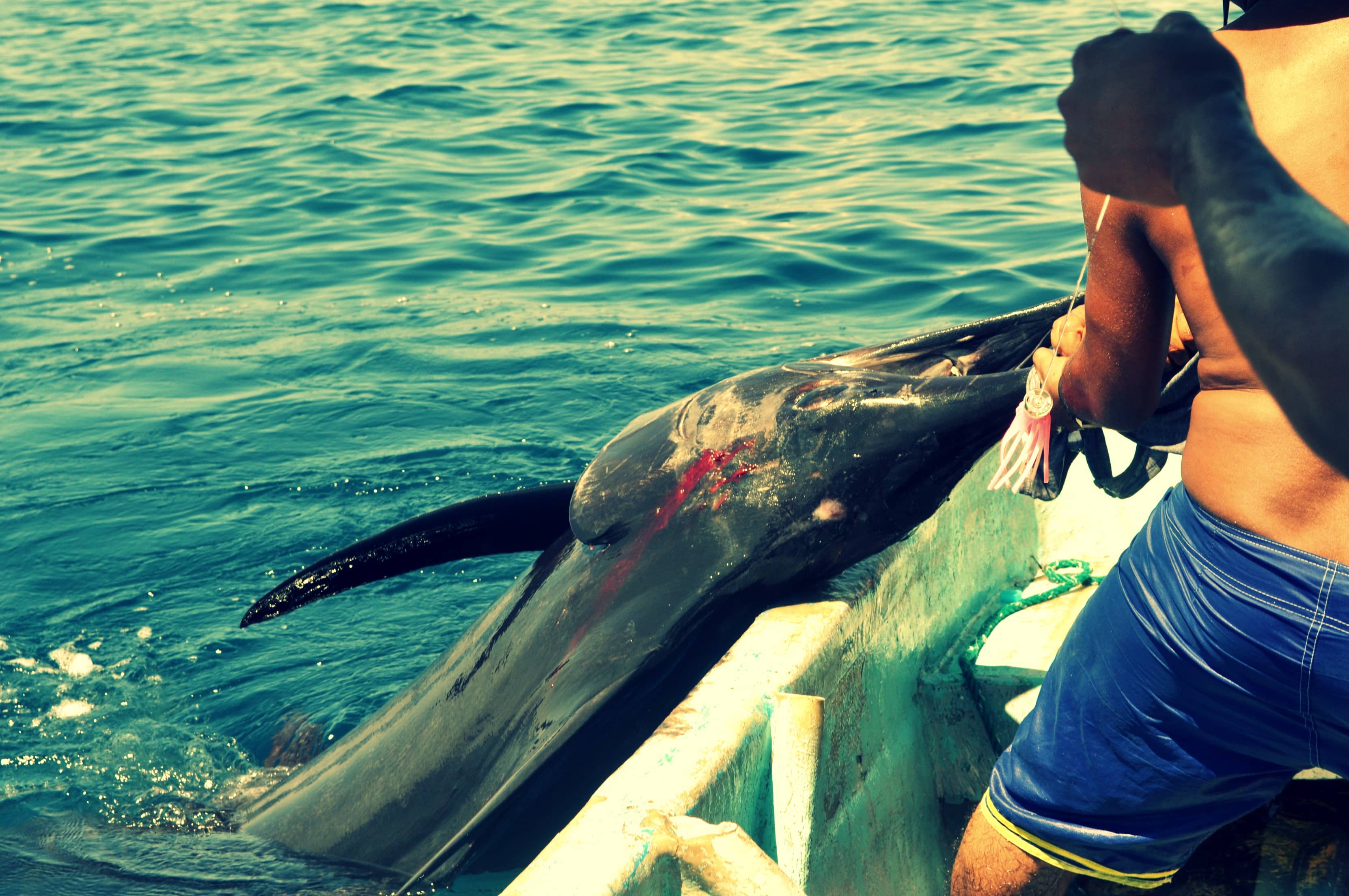 Snorkeling Adventures