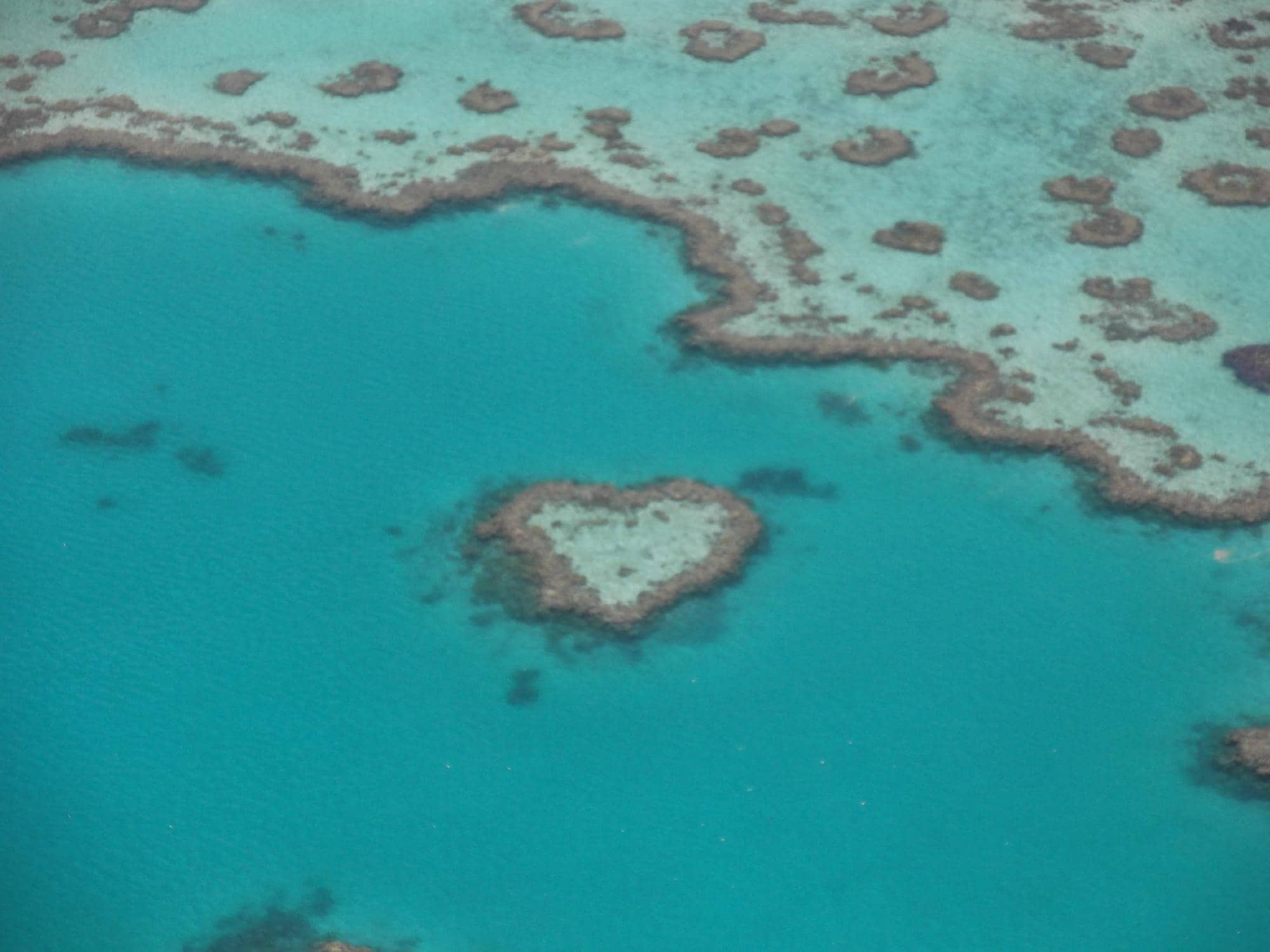 Hardy Reef