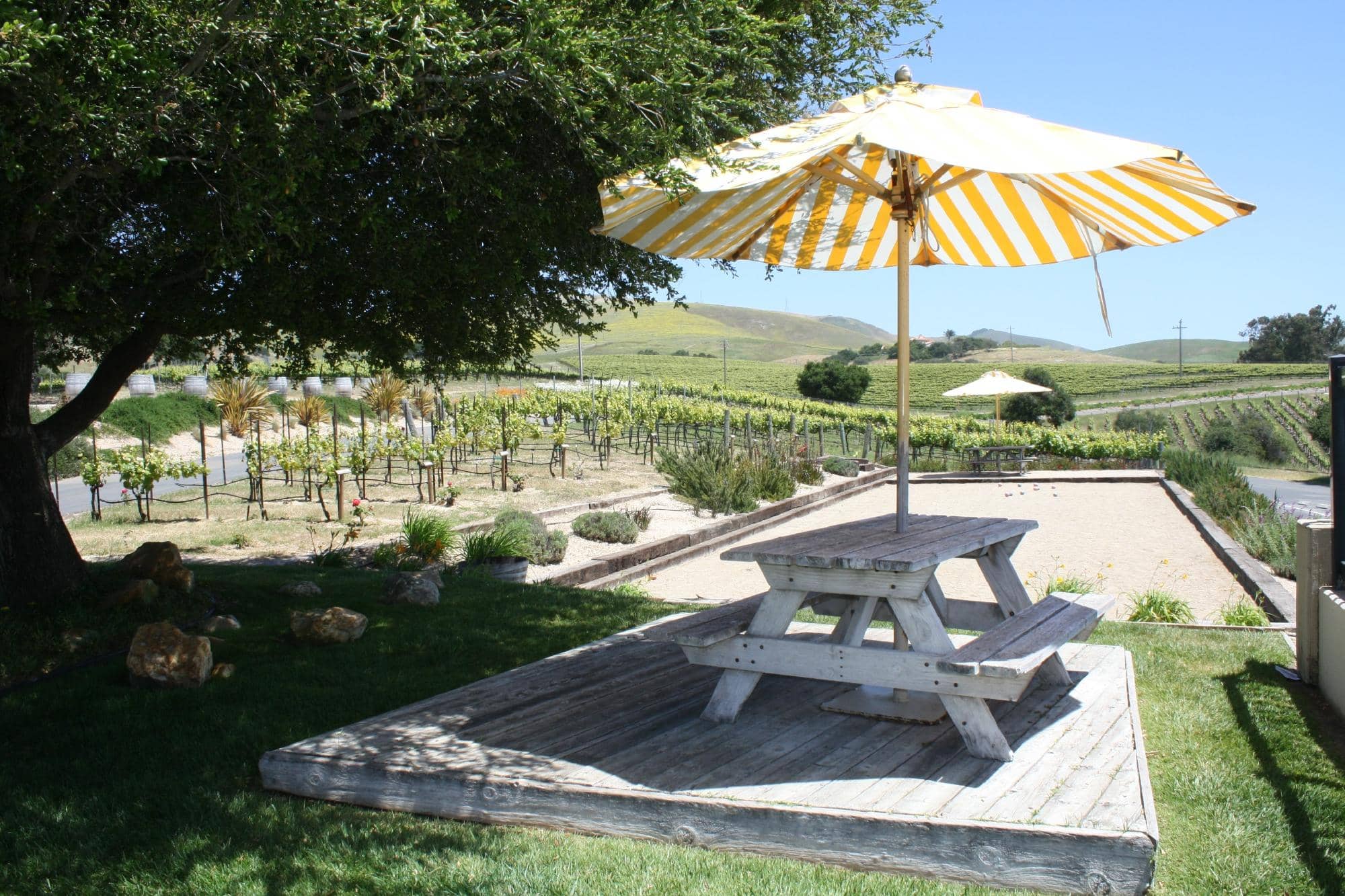 Stunning Vineyard Views