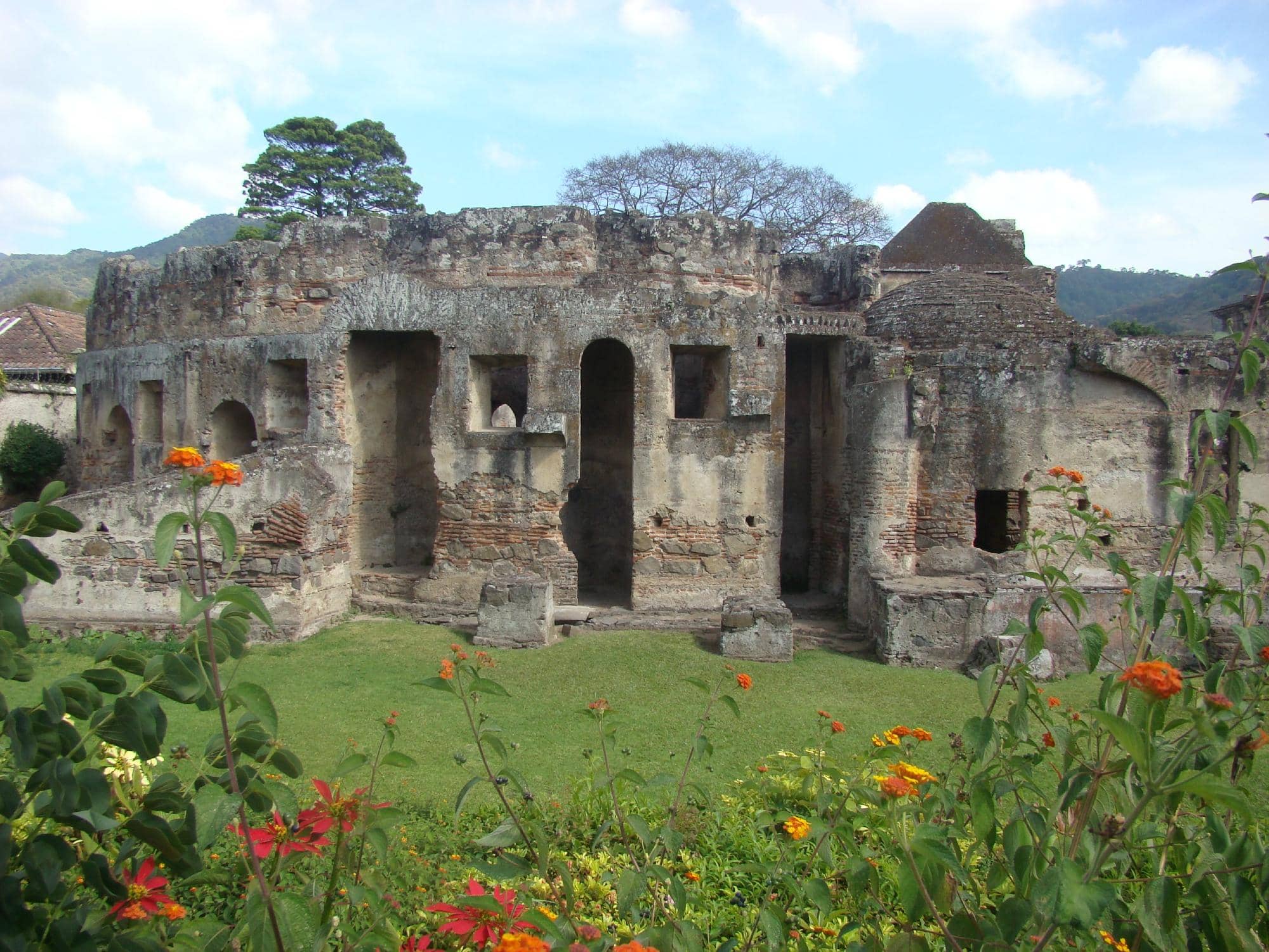 Intriguing Nuns' Cells