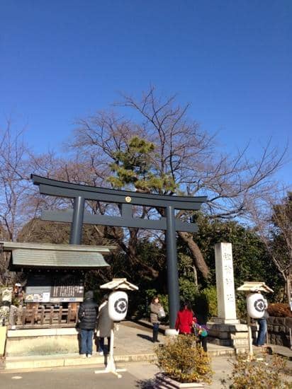 Vertical photo