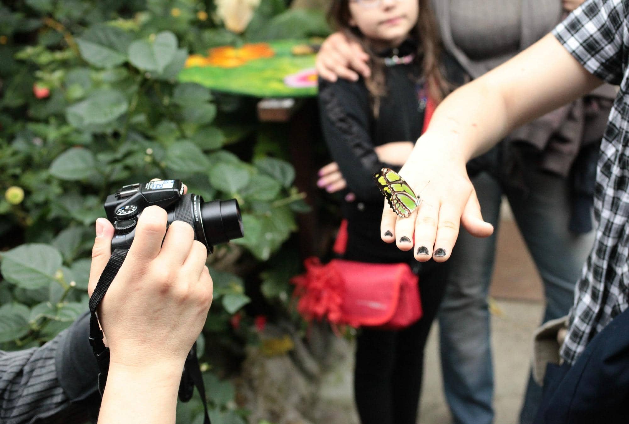 Diverse Tropical Ecosystem