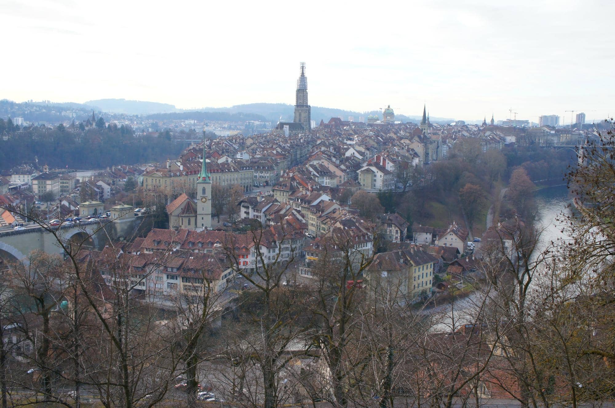 Diverse Rose Collections