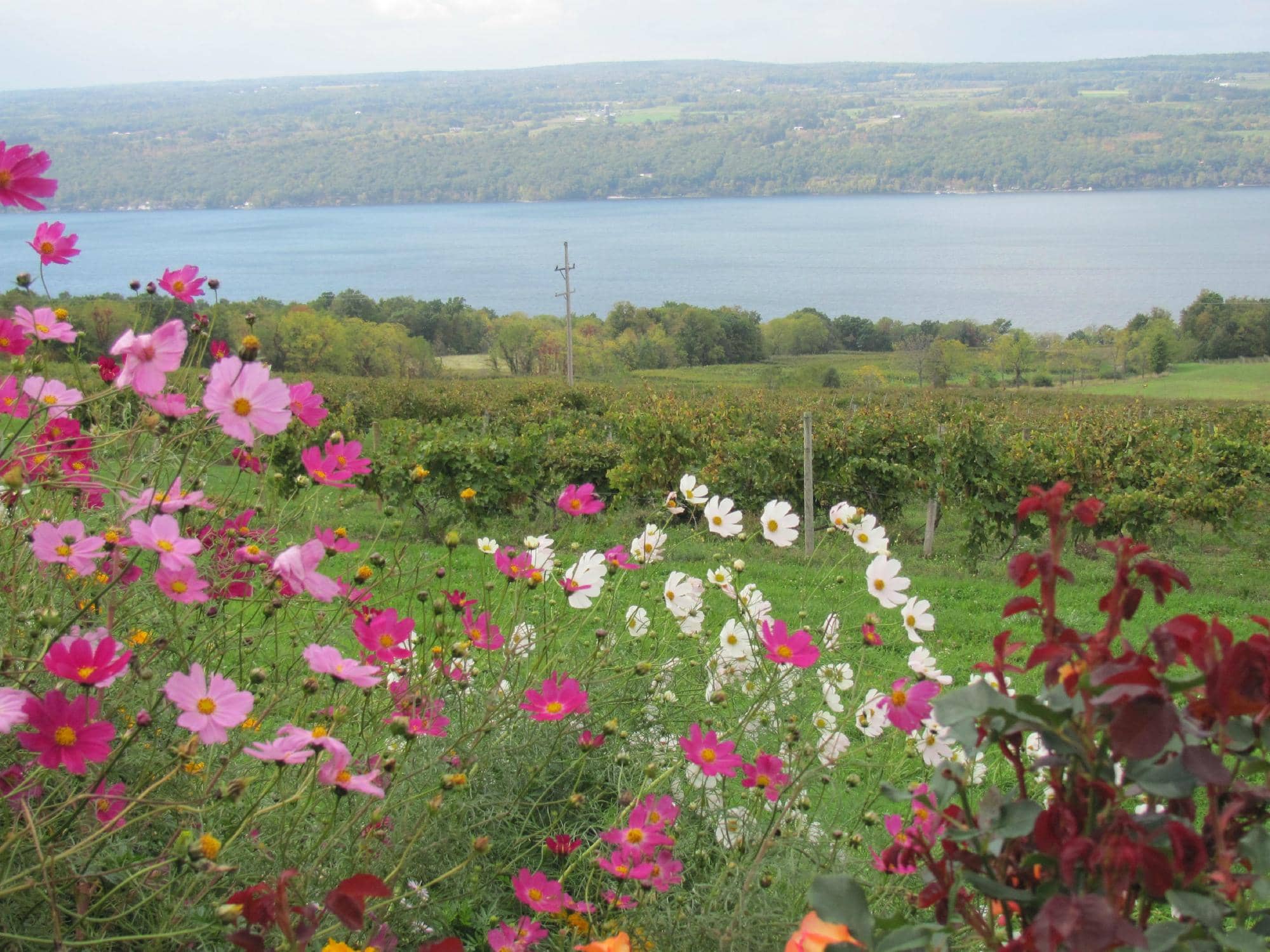 Seneca Lake Overlook