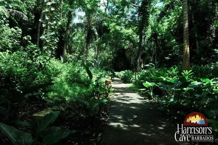 Harrison's Cave Tram Tour