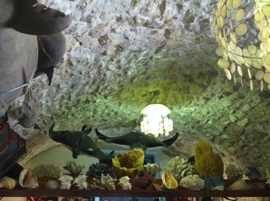 Vast Shell Collection