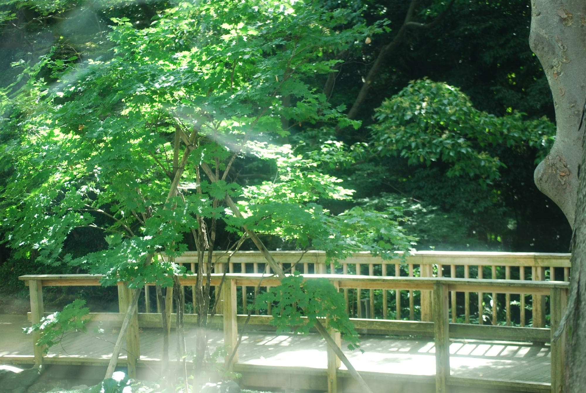 こんな眺めで一休み